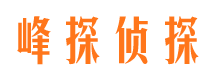 柳城外遇调查取证